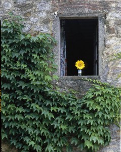 Badia a Coltibuono, Tuscany