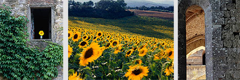 Photographs of Tuscany by Jeff Curto