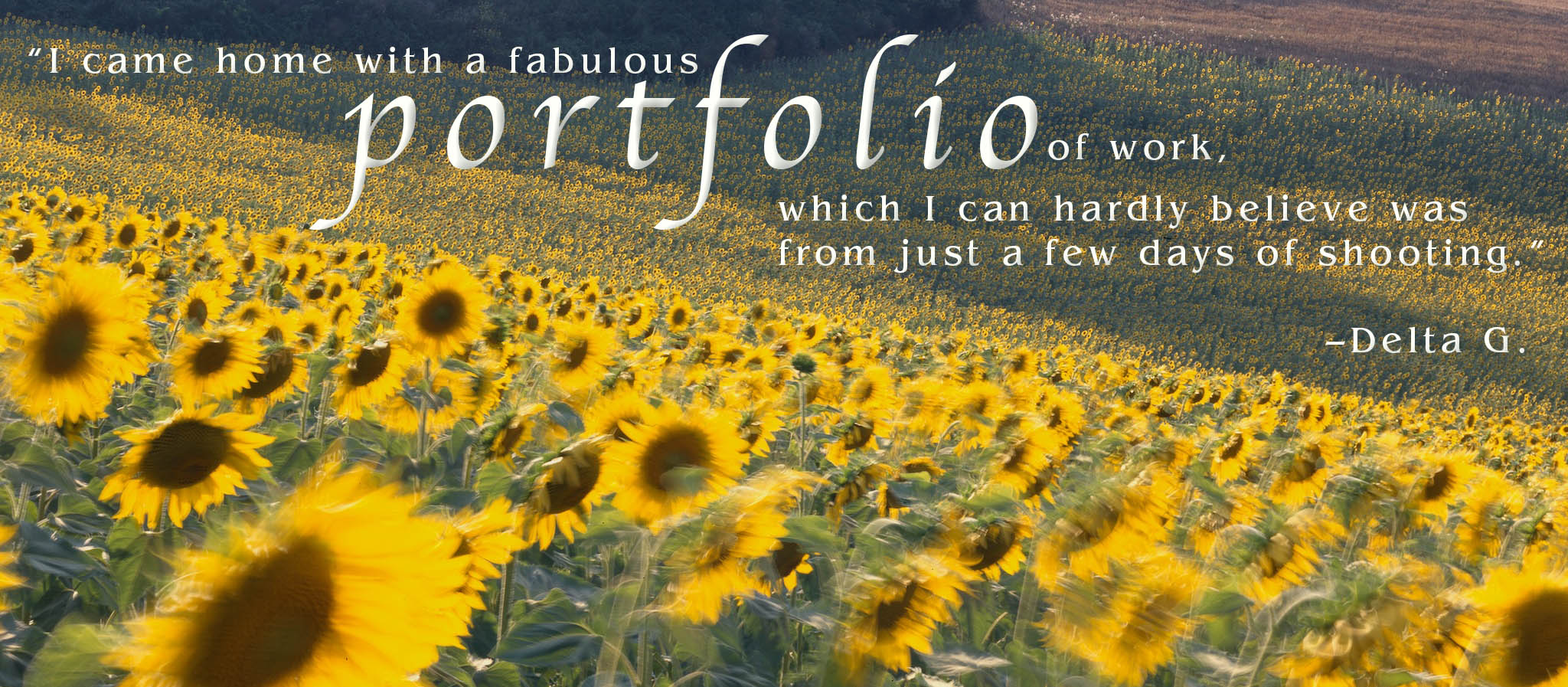 SunflowerQuote