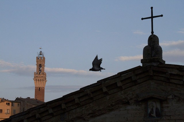 Siena - Workshop Student Photograph