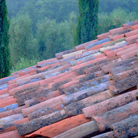 Roof and Cypress, Tuscany, 2008