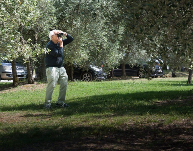 Neil in the olive grove