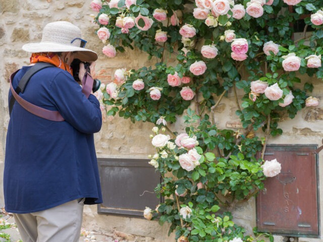 Nancy and roses